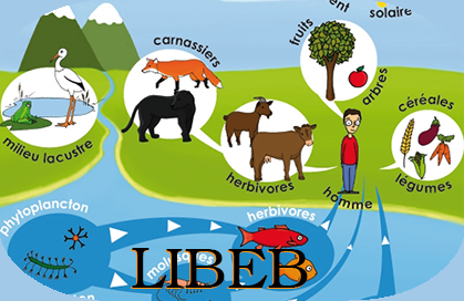 LIBEB